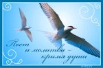 КРЫЛЬЯ ДУШИ.jpg