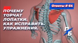 обложка.jpg