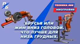 обложка.jpg