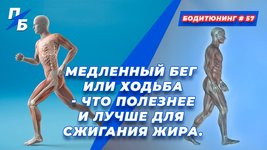 обложка.jpg