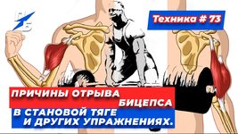 обложка.jpg