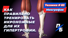 обложка.jpg