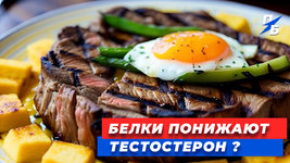 Белок_Тест_3_0.jpg