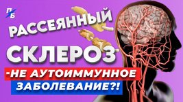 обложка.jpg