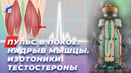 превью.jpg
