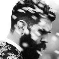 Bearder